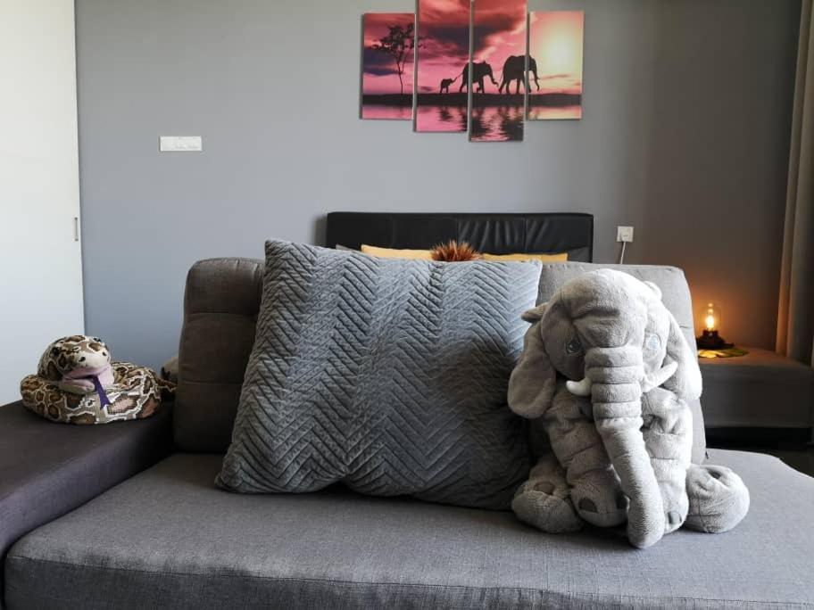 Empire Damansara Homestay By Cities Homes Malaysia بيتالينغ جايا المظهر الخارجي الصورة